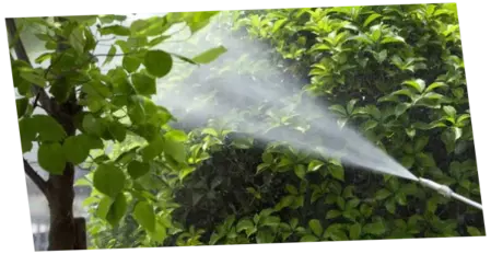 Fumigar 