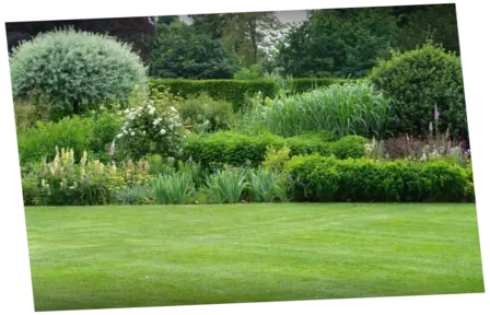 Mantenimiento de jardines